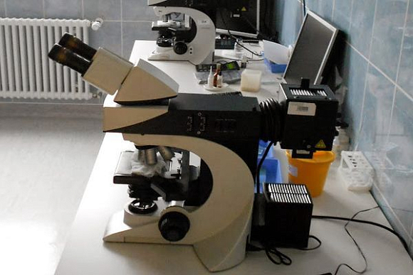 Фото||автора В Пензе появятся специалисты антидопингового контроля