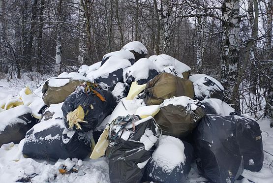 В Бессоновском районе нашли свалку отходов мебельного производства