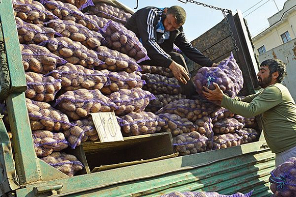 Фото||Владимир ГРИШИН На ярмарке в Пензе картофель будут продавать по 12 рублей за 1 кг
