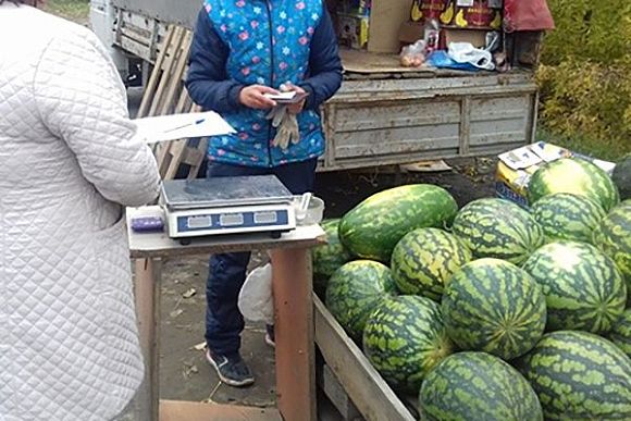 В Пензе нелегально торговали полосатыми ягодами