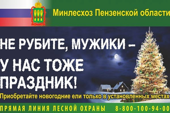 В Пензенской области за незаконную вырубку елей оштрафуют на 3 тыс. руб.