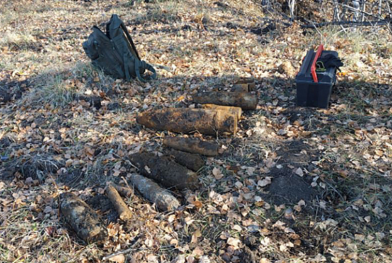 Житель Пензенской области нашел 12 снарядов времен  ВОВ
