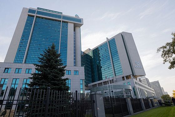 СберБизнес поможет продавцам на Wildberries выбрать перспективную нишу СберБизнес поможет продавцам на Wildberries выбрать перспективную нишу