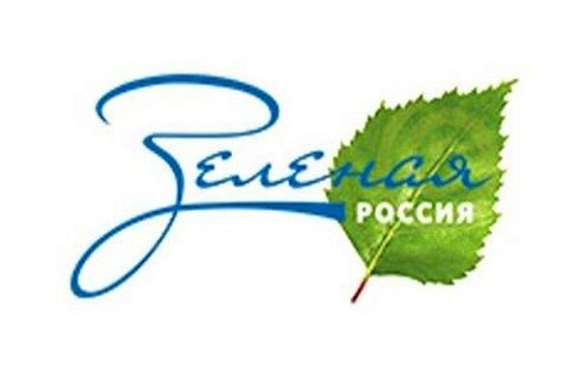 Более 40 тыс. пензенцев присоединятся к Всероссийскому экологическому субботнику