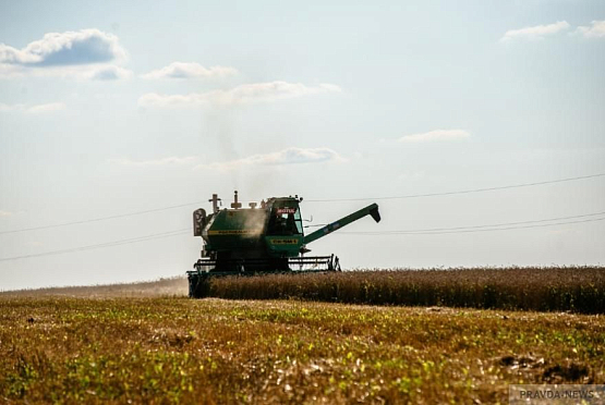 Правительство РФ на субсидирование кредитов аграриям выделит более 25 млрд руб 