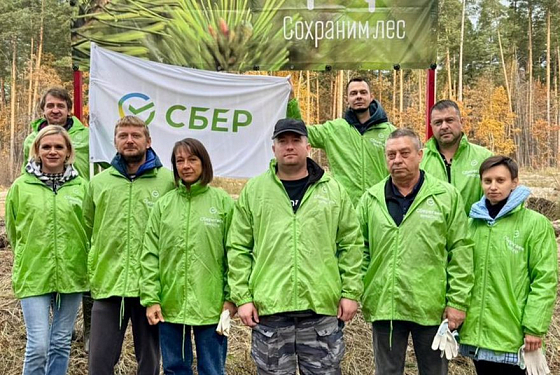 Благодаря волонтёрам и активистам в Городищенском районе площадь леса увеличилась на один гектар Благодаря волонтёрам и активистам в Городищенском районе площадь леса увеличилась на один гектар