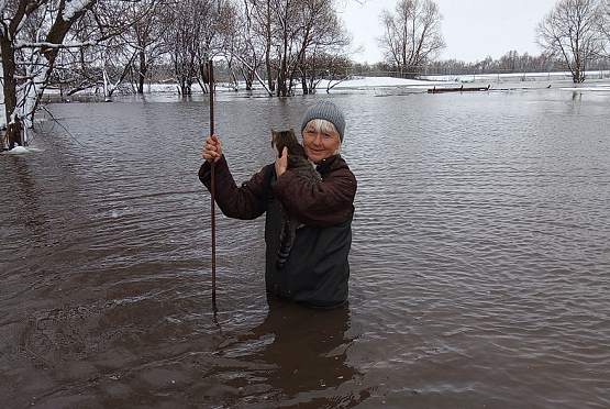 Половодье в Пензенской области: вода приходит и уходит, но бдительность всегда нужна