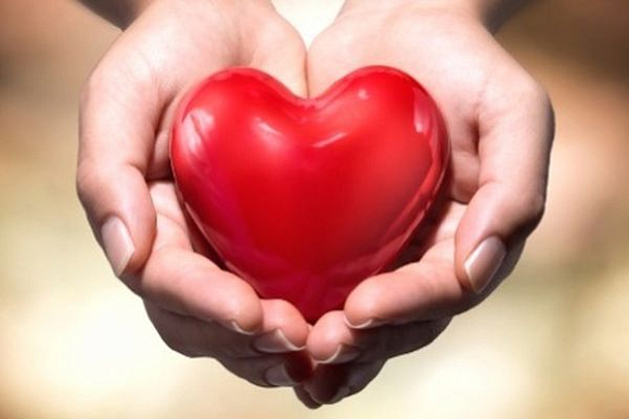 Фото||kragor.ru В областном центре появится «Дерево сердец пензенцев»