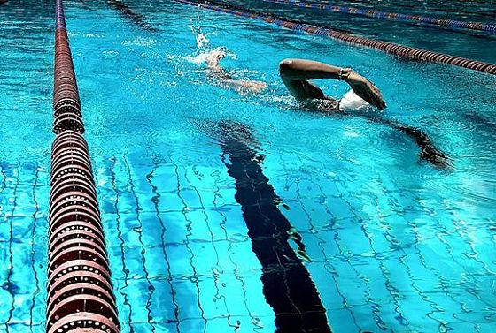 Мельниченко поручил решить вопрос с зарплатой тренеров по плаванию