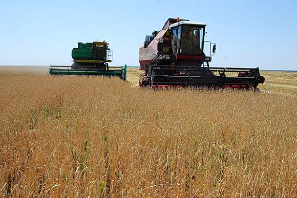 В Пензенской области намолочено более 98 тыс. тонн зерновых