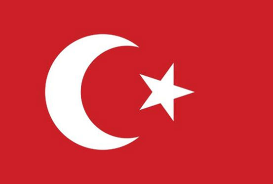 Пензенцы прибыли в Турцию с бизнес-миссией