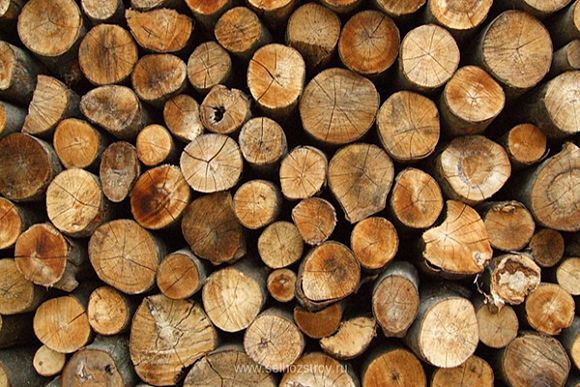 В Городище многодетного отца осудят за кражу дров