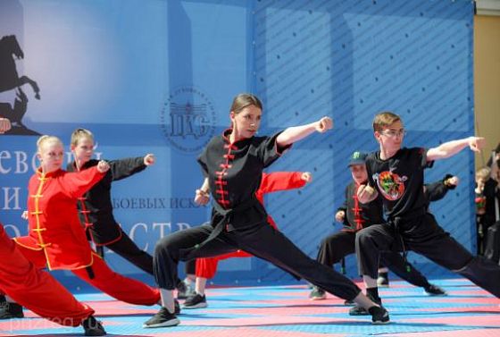 В Пензе состоялся фестиваль боевых искусств 