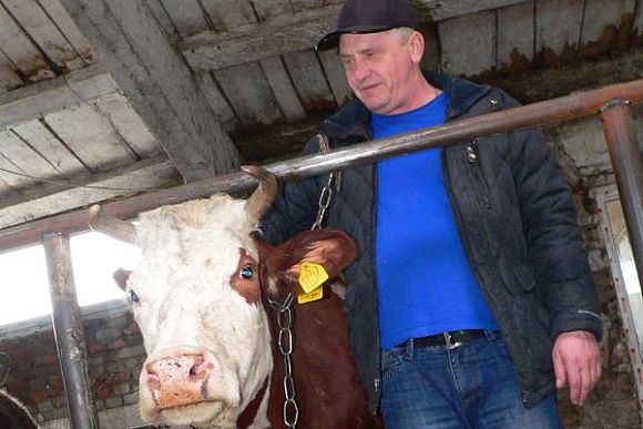 В Пензенской области восстанавливают заброшенные животноводческие помещения