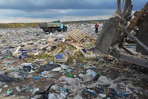 На полигоне в Чемодановке уничтожили 7 тонн груш