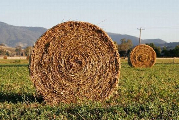 В Пензенской области двое парней украли тонну сена