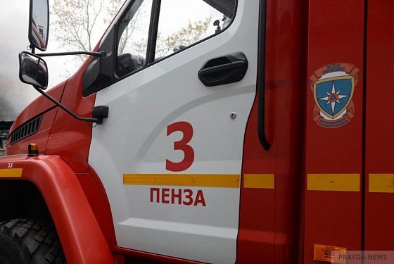 В Пензенской области в пожарах погибли 12 человек
