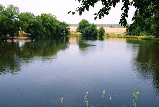 Пензенской области выделят 18 млн рублей на охрану водных объектов