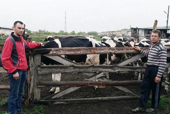 В Сердобском районе семья Манышевых развивает животноводство