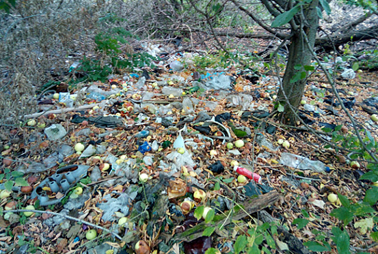 В Земетчино у реки устроили свалку отходов