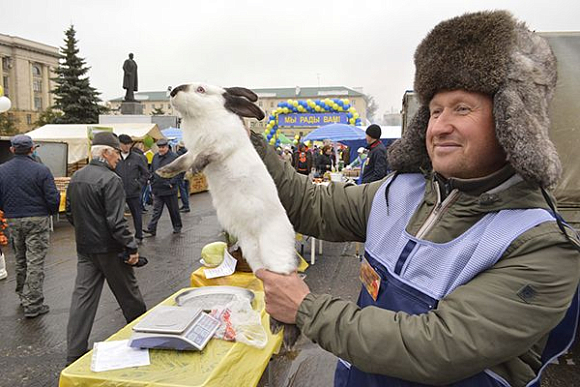 Ярмарка на площади Ленина вызвала интерес горожан