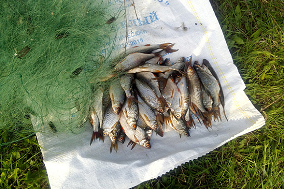 В Пензенской области задержали рыбных браконьеров