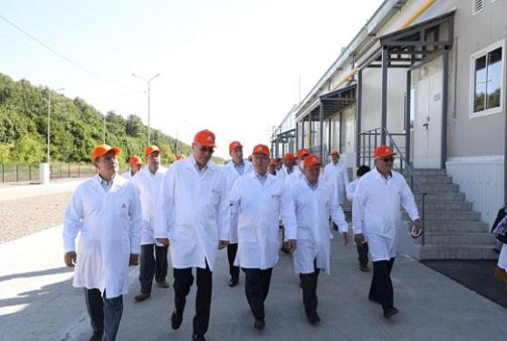 Производственные мощности инкубатория в Колышлейском районе увеличены 