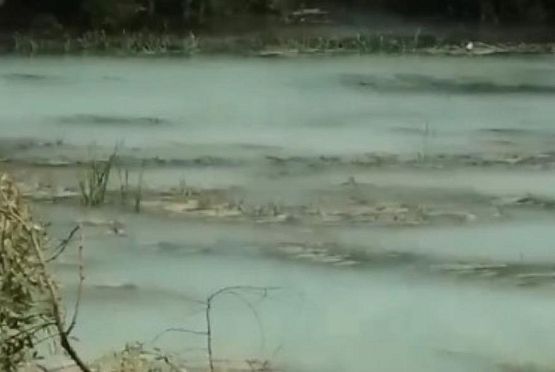 Пензенские власти отреагировали на сообщение о сбросе отходов в реку 