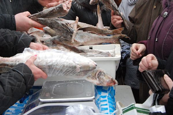 «Пензенская правда» подсчитала, сколько мы переплачиваем за лед, покупая рыбу
