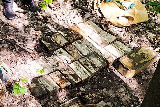 В лесу под Пензой нашли ящики с 7 тысячами патронов