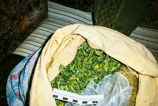 У жителя Пензенской области обнаружили мешок с наркотиком