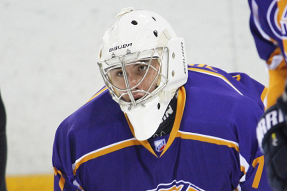 Фото||Филипп МИТРОФАНОВ В дни каникул пензенским школьникам дадут хоккейные мастер-классы