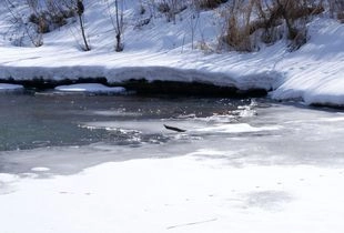 Сотрудники ГИМС: лед на пензенских водоемах не имеет нужной толщины