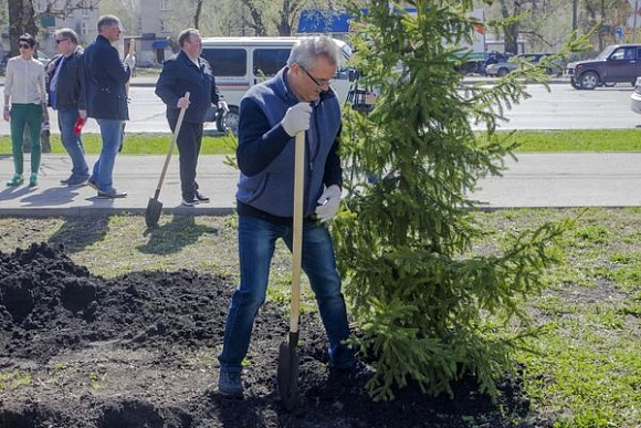 Иван Белозерцев посадил деревья в сквере «Бессмертного полка»