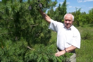 Фото|| В Сосновоборском районе создадут школьное лесничество