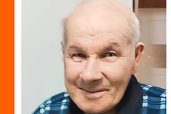 Под Шемышейкой пропал 74-летний пенсионер