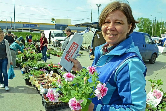 На фестивале «Сезон уДачи-2024» пензенцы предпочитали цветы помидорам