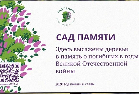 Сад памяти: В Пензенской области высажено более 71 тыс деревьев