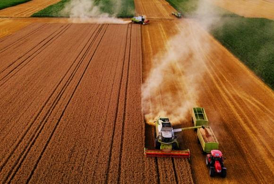 Россельхозбанк: Пензенская область заняла 3-е место по объемам финансирования сезонных работ