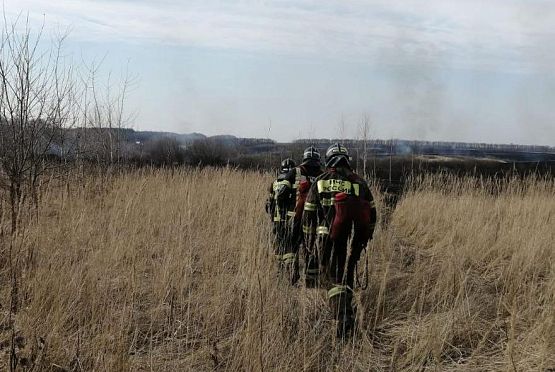В Пензе около трассы М-5 загорелась сухая трава