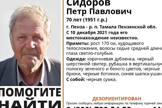 В Пензенской области без вести пропал дезориентированный пенсионер