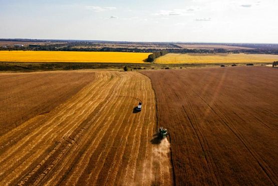 Аграрии Пензенской области планируют произвести 2,8 млн тонн зерна 
