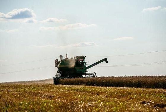 Пензенские аграрии собрали больше 2 млн тонн зерна