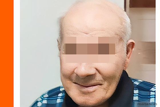 В Шемышейском районе завершились поиски пропавшего пенсионера