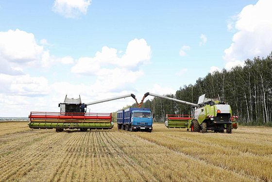 Аграрии Пензенской области собрали 2 миллиона тонн зерна