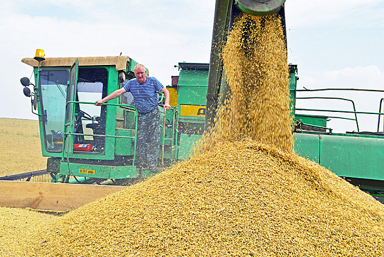 Аграрии региона намолотили 1,6 млн тонн зерновых