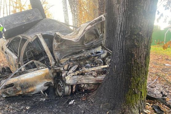 Насмерть: в Пензе загорелся автомобиль после столкновения с деревом