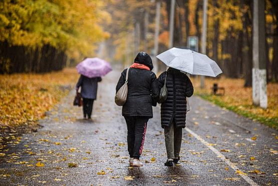 Желтый уровень погодной опасности ожидается в Пензе 23 октября 2023