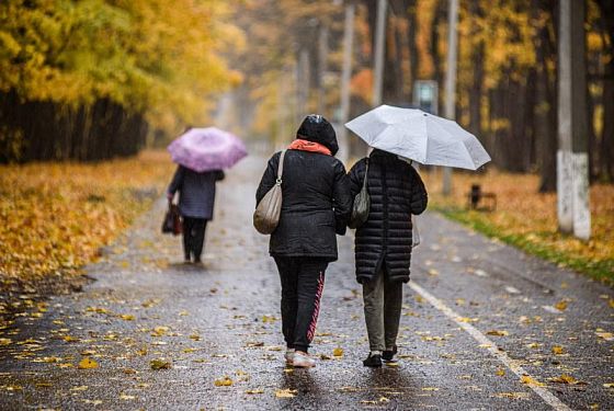 Желтый уровень погодной опасности ожидается в Пензе 23 октября 2023