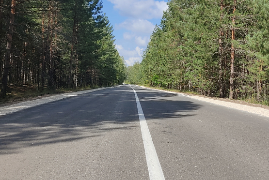 В Пензенский области отремонтировали несколько дорог по просьбам жителей
